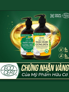 NGĂN RỤNG TÓC, KÍCH THÍCH MỌC TÓC CON NHANH VỚI GỪNG DỪA HỮU CƠ CỎ CÂY HOA LÁ